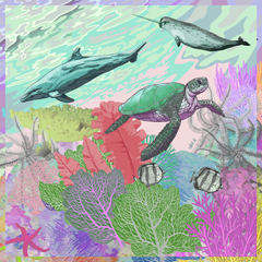 coral photo